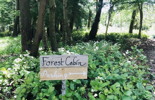 Vashon Island Cottage | On a 40 acre estate, outdoor soaking tub, fire pit, hammocks, pet friendly!