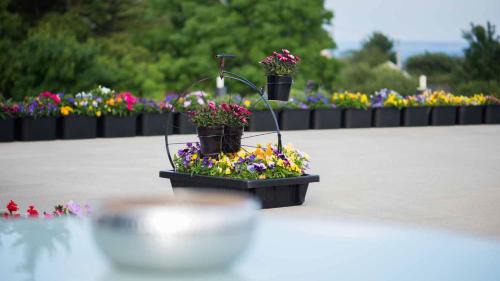 Ballymacarthur Bed & Breakfast | On the Rocks B&B