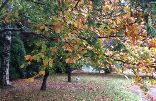 Muros de Nalon House | On the west coast of Asturias, semi-detached house in the middle of nature.