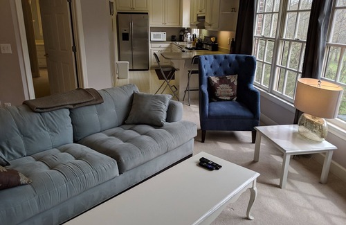 Sandy Springs House | One bdrm fully furnished apartment on quiet, wooded 2 acre lot in Sandy Springs