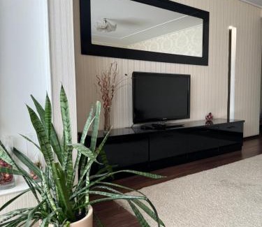 Dnipro Apartment | One-Bedroom Apartment in the center