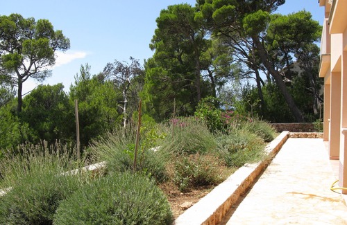 Sveta Nedjelja Apartment | One bedroom apartment with terrace Sveta Nedilja, Hvar (A-14086-b)