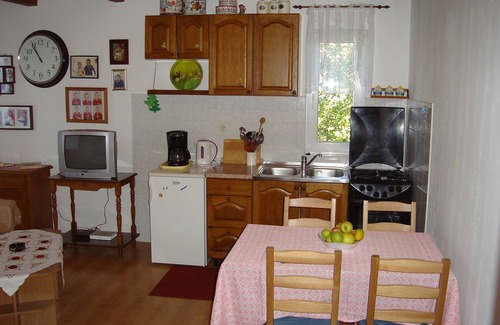 Suha Punta Apartment | One bedroom apartment with balcony Kampor, Rab (A-5014-b)