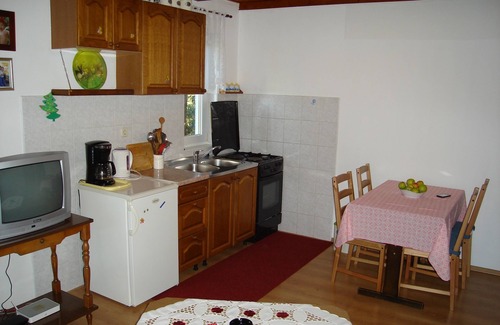 Suha Punta Apartment | One bedroom apartment with balcony Kampor, Rab (A-5014-b)
