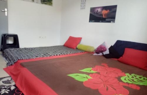 La Plaine-des-Palmistes House | One