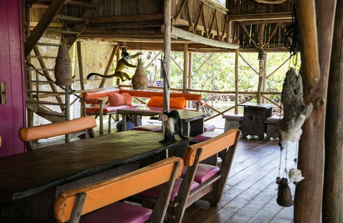 Tierra Oscura House | One Unique Island Escape in Bocas de Toro, Panaman