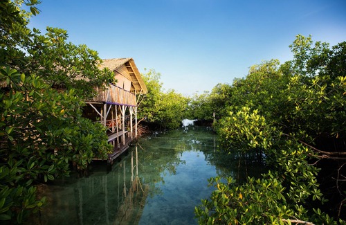 Tierra Oscura House | One Unique Island Escape in Bocas de Toro, Panaman
