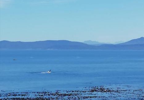 Gansbaai Apartment | Oppi Kus 35 Seafront
