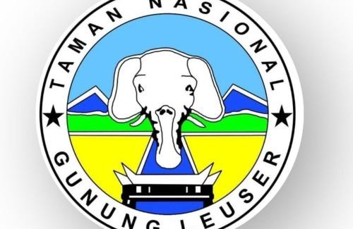 Bohorok Villa | Orangutan Villa & Ethical Jungle Treks