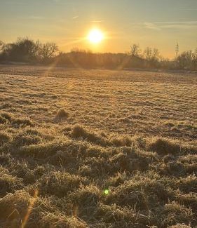 Bergheim Apartment | Organgerie Lemon Loft