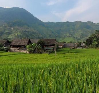 Sa Pa House | Organic Farm Homestay