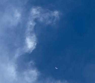 Jardin Other | Oro Verde Noche De Luna