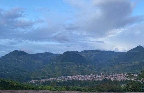 Jardin Other | Oro Verde Noche De Luna