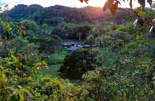 Sierpe Hotel | Oso de Osa