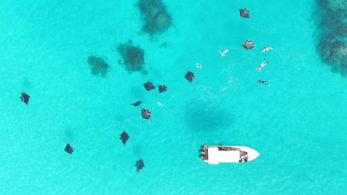 Ukulhas House | Ostrov Beach