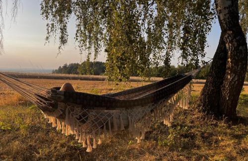 Skvorec Other | Ostrov klidu - posed - sauna