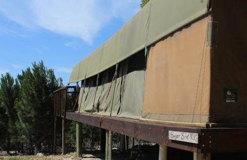 Caledon Other | Otium Oasis Glamping & Camping