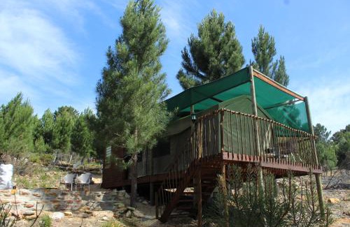 Caledon Other | Otium Oasis Glamping & Camping