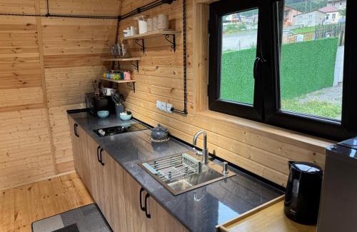 Stepantsminda Ski Chalet | Oto Twins Cottages
