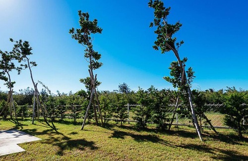 Daguang Bed & Breakfast | Otousann B&B