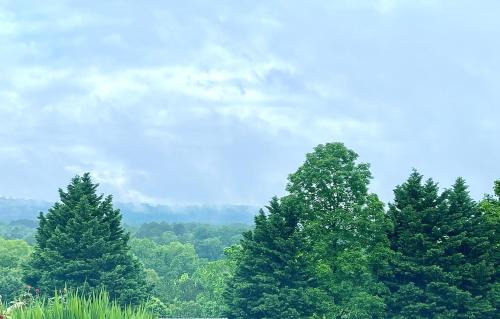 Graysville Apartment | Our Castleview