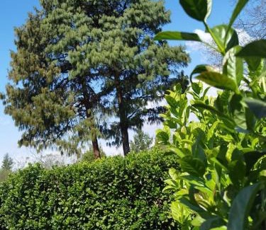 Nottingham Road Apartment | Our Place-at-Notties Self-contained 1-Bed Unit