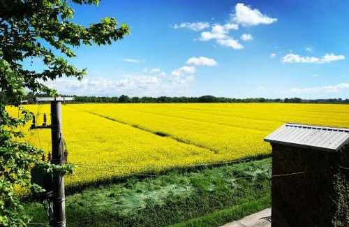Bentivoglio Bed & Breakfast | Outlander Cottage - Family B&B