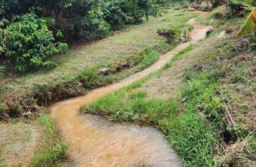 Da Lat House | OVi coffee farmstay Đà Lạt