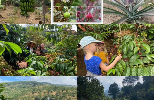 Da Lat House | OVi coffee farmstay Đà Lạt