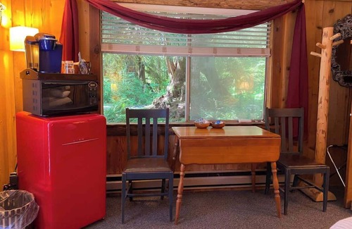 Forks Apartment | Owl Cottage Suite near Olympic National Park