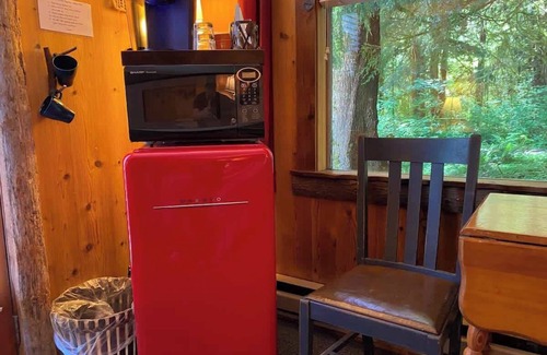 Forks Apartment | Owl Cottage Suite near Olympic National Park