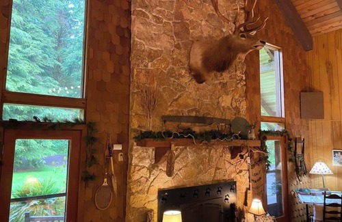 Forks Apartment | Owl Cottage Suite near Olympic National Park