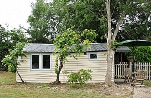 Ewhurst Green Cabin | Owl's Nest - Rural Retreat set in peaceful relaxing garden