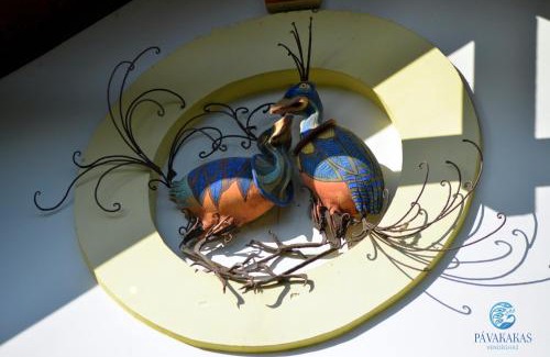 Vac Villa | Pávakakas Vendégház