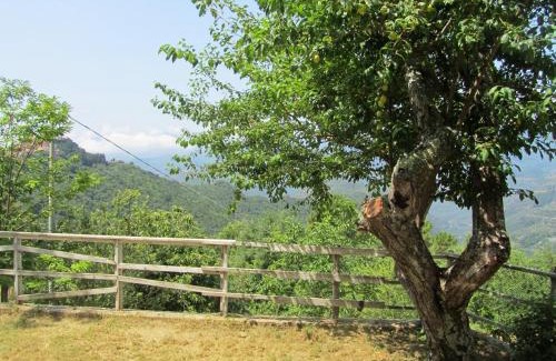 Bajardo House | Pachamama