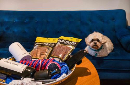 Paddington House | Paddington Retreat