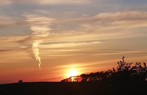 Looe RV Rental | Paddock Yurt near Looe & Coastal Path