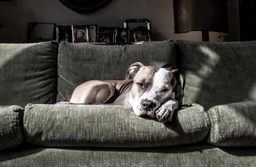 Historic Centre Apartment | Palazzo Altinate - Note di Piano