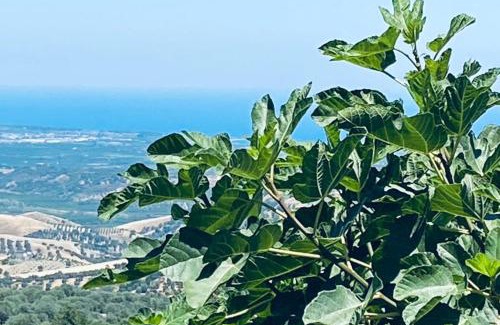 Vaccarizzo Albanese Bed & Breakfast | Palazzo Scura