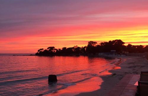 Ajaccio Hotel | Palm Beach