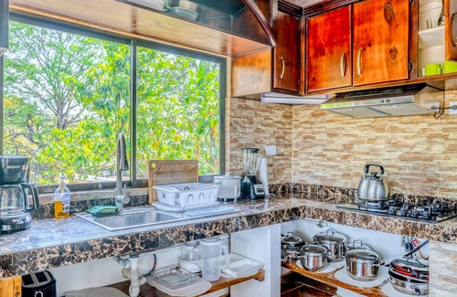 Garabito House | Palm-lined paradise with a pool, wood stove, & mountain views - dog-friendly