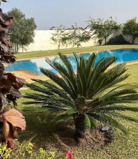 Oulad Khallouf Villa | Palm