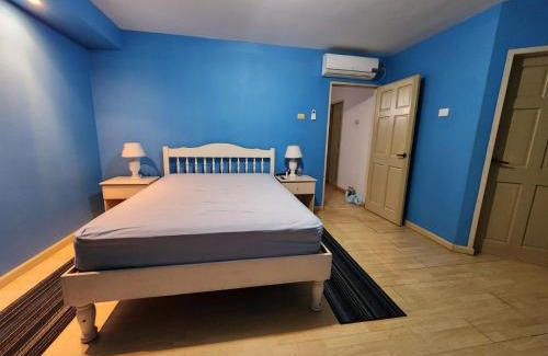 Couva-Tabaquite-Talparo House | Palm Springs Apartments