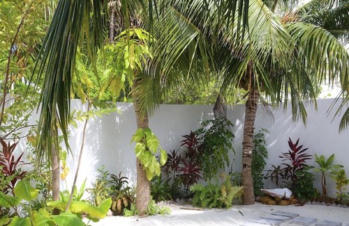 Velidhoo House | Pandanus Villa