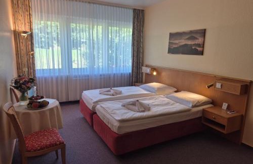 Oberwiesenthal Hotel | Panorama Hotel Oberwiesenthal