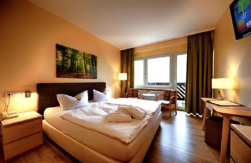 Oberwiesenthal Hotel | Panorama Hotel Oberwiesenthal