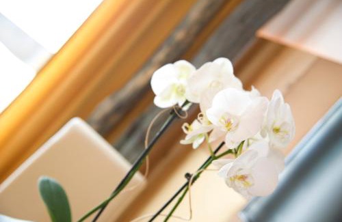 Termeno Sulla Strada del Vino Apartment | Panorama