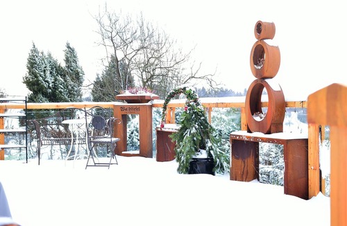 Hallwangen Apartment | Panoramic view room with shower and WC, approx. 15 sqm