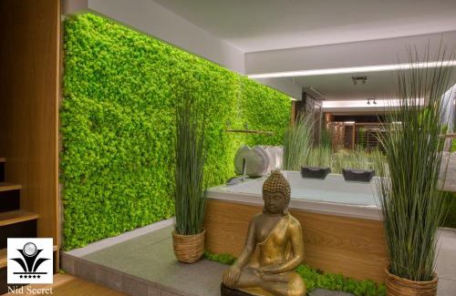 Annecy-le-Vieux Apartment | Panoramique 180 lac et montagne et Nid Secret spa romantique