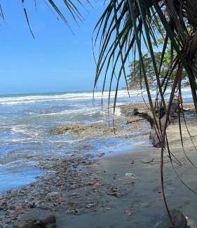 Cahuita House | Papaya Wildlife Lodge